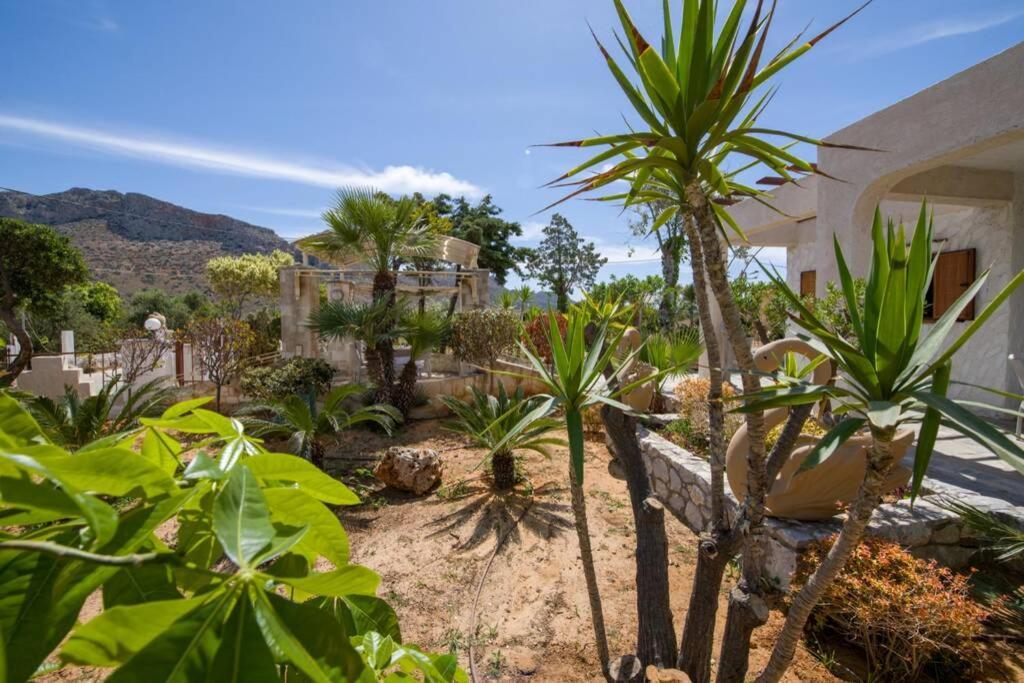 Renas Secret Garden House Βίλα Χανιά Εξωτερικό φωτογραφία