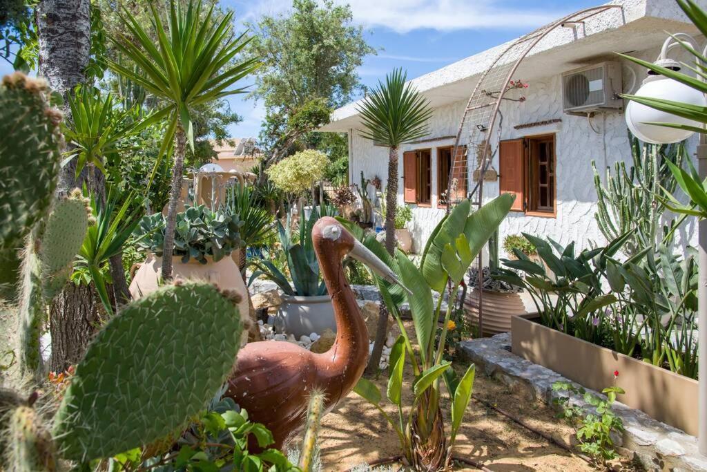 Renas Secret Garden House Βίλα Χανιά Εξωτερικό φωτογραφία